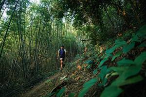 BIB: 
                            <button type="button" onclick="openModal(28141368)" class="btn btn-primary btn-sm float-right btn-popup" data-toggle="modal" data-target=".modal-high-quality">
                        <i class="fas fa-shopping-cart"></i> Add to Cart
                    </button>
                                            <button type="button" onclick="isThisMe(28141368, true)" class="btn btn-success btn-sm float-right btn-popup btn-isme hidden" data-toggle="tooltip" data-placement="bottom" title="นี่คือรูปของคุณใช่ไหม คลิกที่นี่เพื่อเอาเข้าอัลบั้ม">
                        <i class="fas fa-plus"></i> Add to album
                    </button>
                    <button type="button" onclick="isThisMe(28141368, false)" class="btn btn-warning btn-sm float-right btn-popup btn-isnotme hidden">
                        <i class="fas fa-ban"></i> Remove from album
                    </button>